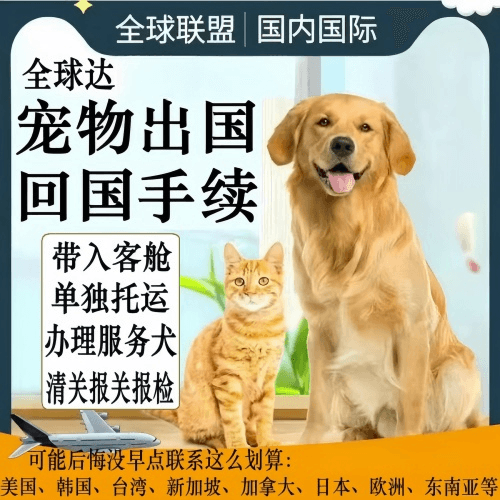 莆田宠物托运到柬埔寨宠物入境规定和要求