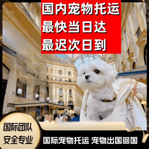 莆田到澳大利亚（澳洲）宠物入境规定和要求