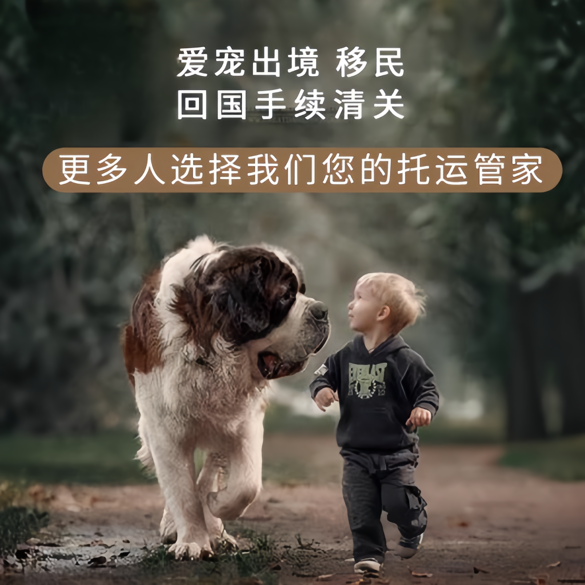 满财莆田宠物全球达宠物托运在遵守入境目的地政策的条件