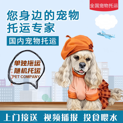 满财莆田宠物全球达宠物托运作为专业的宠物运输代理机构
